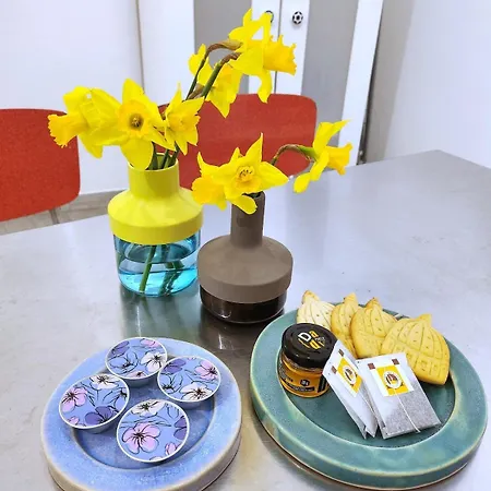 公寓 Sanpietrino 罗马